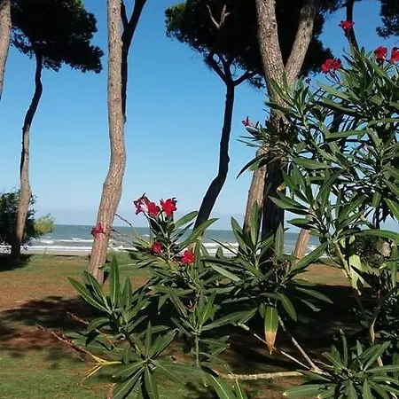Villino Di Girolamo Апартаменты Пинето