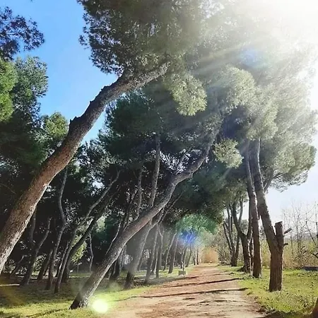 Villino Di Girolamo Apartamento