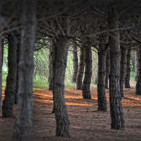 Apartmán Villino Di Girolamo *