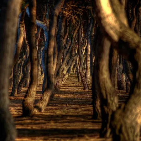 Apartmán Villino Di Girolamo Pineto