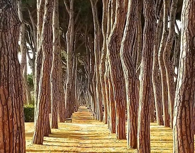 דירה Villino Di Girolamo *