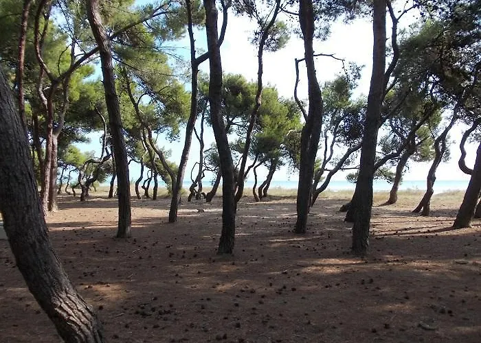 Villino Di Girolamo פינטו