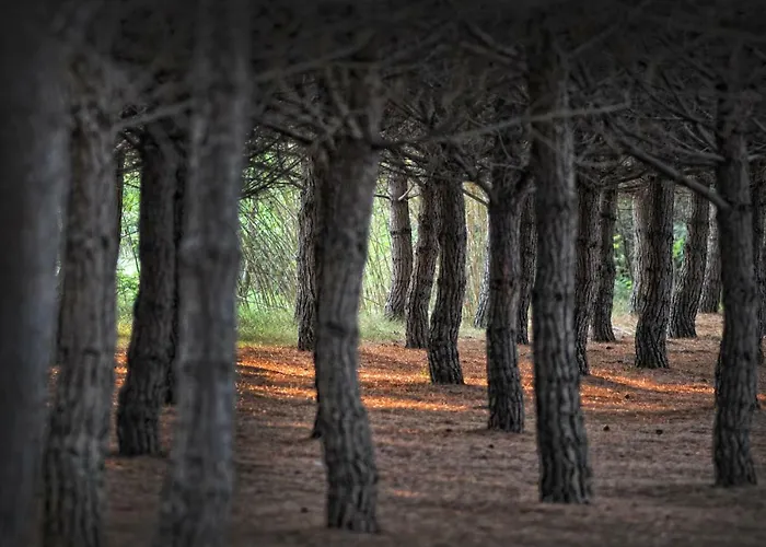 דירה Villino Di Girolamo *