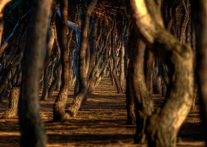 דירה Villino Di Girolamo פינטו