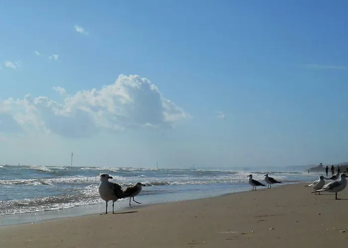 Villino Di Girolamo דירה